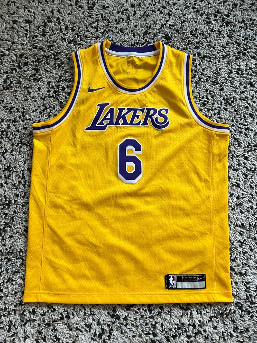 Nike Swingman Youth Lebron James Lakers Jersey #6 Yellow Size 14/16